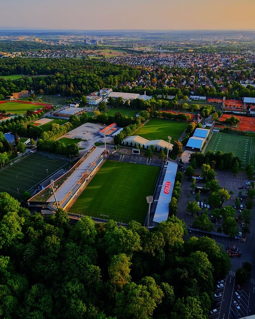 们对乒乓球 们对乒乓球