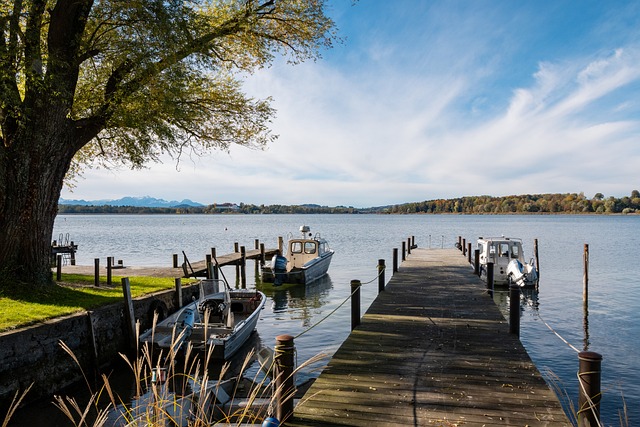 赢得了比赛 赢得了比赛