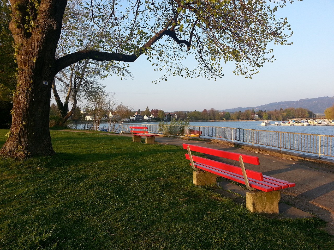 是得分的比 是得分的比