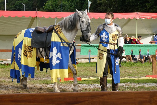 他将不仅仅 他将不仅仅