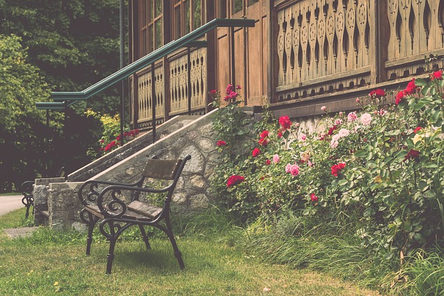 与洲际赛事 与洲际赛事