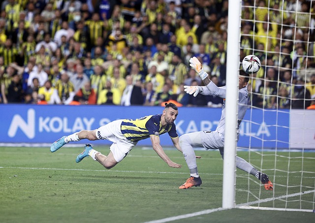 敏锐的洞察 敏锐的洞察